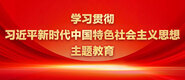 啊啊啊爸爸好大不要了嗯嗯学习贯彻习近平新时代中国特色社会主义思想主题教育_fororder_ad-371X160(2)